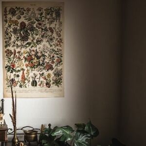 Wall art Fleurs Print Adolphe Millot