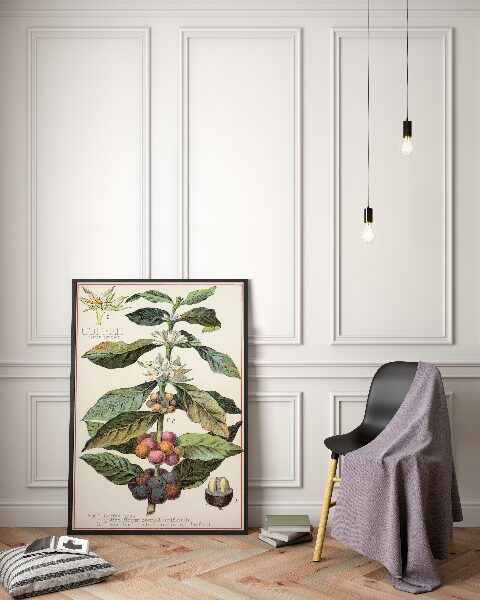 Vintage poster Coffee Arabica Kitchen Print