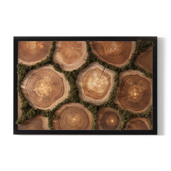 Moss wall art Trunk cross -section