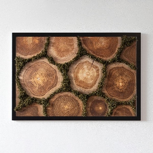 Moss wall art Trunk cross -section