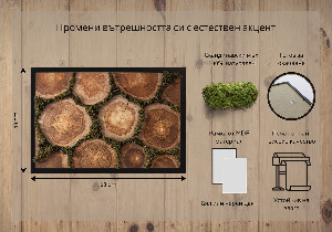 Moss wall art Trunk cross -section