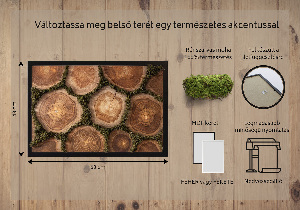 Moss wall art Trunk cross -section