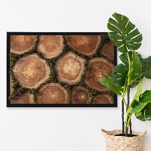 Moss wall art Trunk cross -section