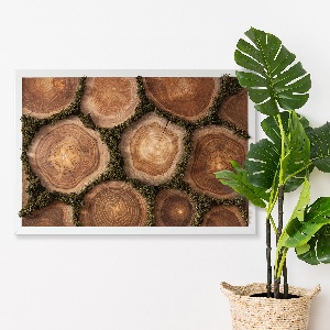 Moss wall art Trunk cross -section