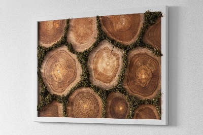 Moss wall art Trunk cross -section