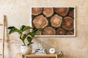 Moss wall art Trunk cross -section