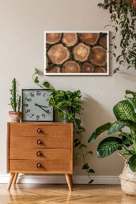 Moss wall art Trunk cross -section