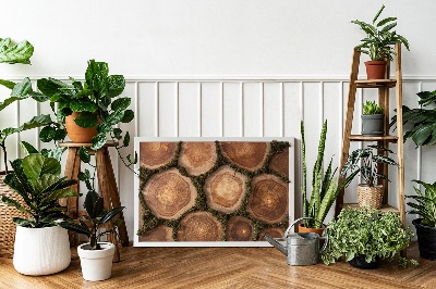 Moss wall art Trunk cross -section