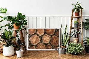 Moss wall art Trunk cross -section