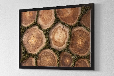 Moss wall art Trunk cross -section