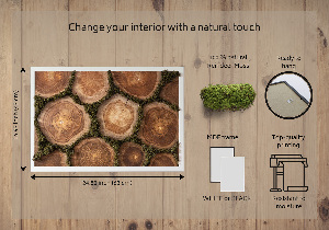 Moss wall art Trunk cross -section