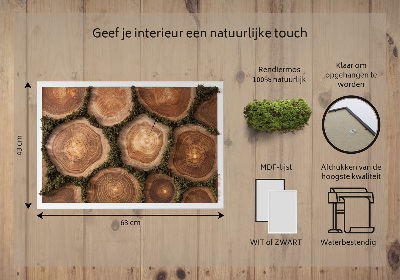 Moss wall art Trunk cross -section