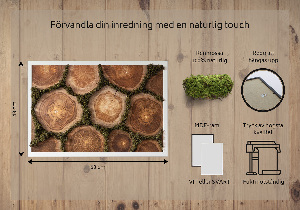 Moss wall art Trunk cross -section