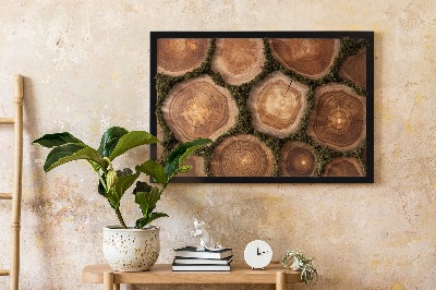 Moss wall art Trunk cross -section