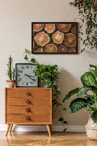 Moss wall art Trunk cross -section