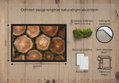 Moss wall art Trunk cross -section
