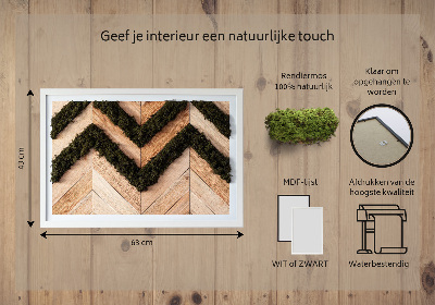 Moss wall art Jodel boards