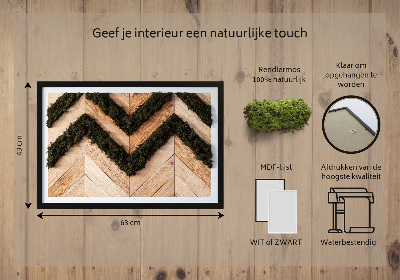 Moss wall art Jodel boards