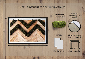 Moss wall art Jodel boards