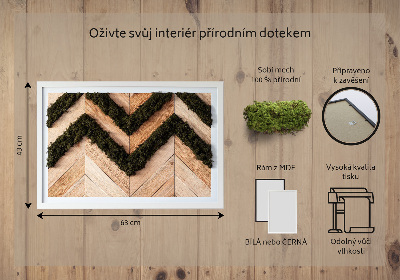 Moss wall art Jodel boards