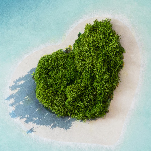 Moss picture Heart -shaped island