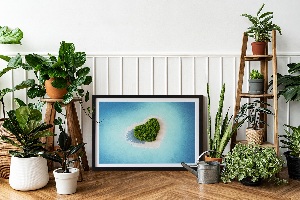 Moss picture Heart -shaped island