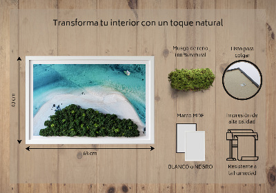 Living moss wall art Azure beach