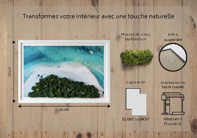 Living moss wall art Azure beach