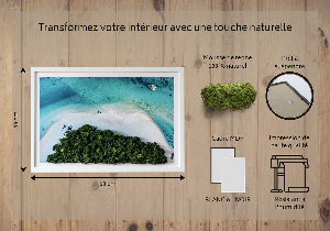 Living moss wall art Azure beach