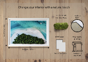 Living moss wall art Azure beach