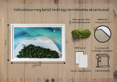 Living moss wall art Azure beach