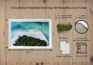 Living moss wall art Azure beach