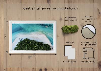Living moss wall art Azure beach