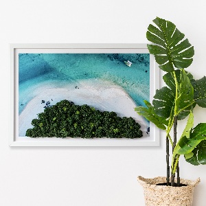 Living moss wall art Azure beach