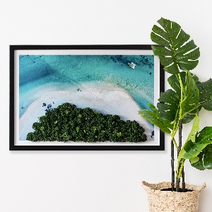 Living moss wall art Azure beach