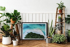 Living moss wall art Azure beach