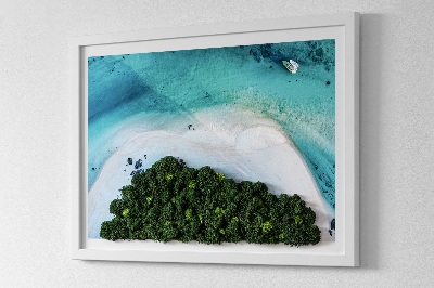 Living moss wall art Azure beach