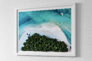 Living moss wall art Azure beach