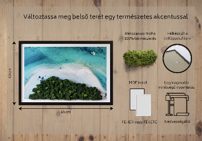 Living moss wall art Azure beach