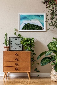 Living moss wall art Azure beach