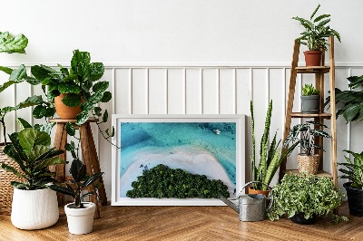 Living moss wall art Azure beach