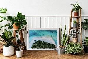 Living moss wall art Azure beach