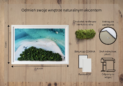 Living moss wall art Azure beach