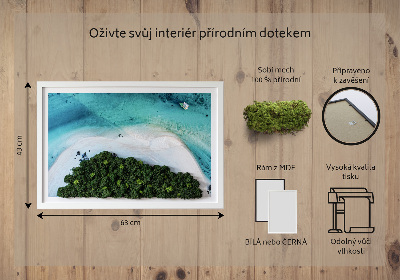 Living moss wall art Azure beach