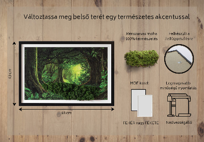 Moss picture Tropical jungle
