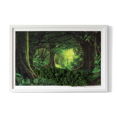 Moss picture Tropical jungle