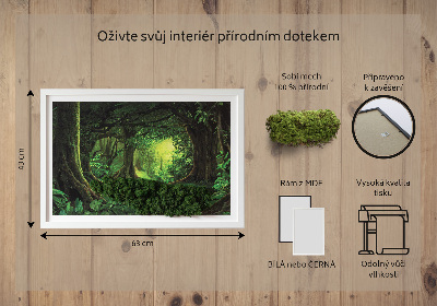 Moss picture Tropical jungle