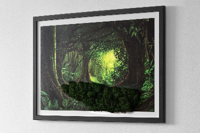 Moss picture Tropical jungle
