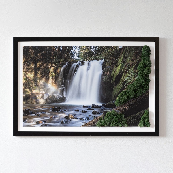 Moss wall art Waterfall surrounded by trees