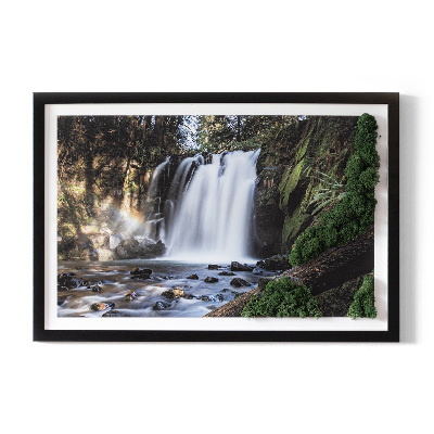 Moss wall art Waterfall surrounded by trees